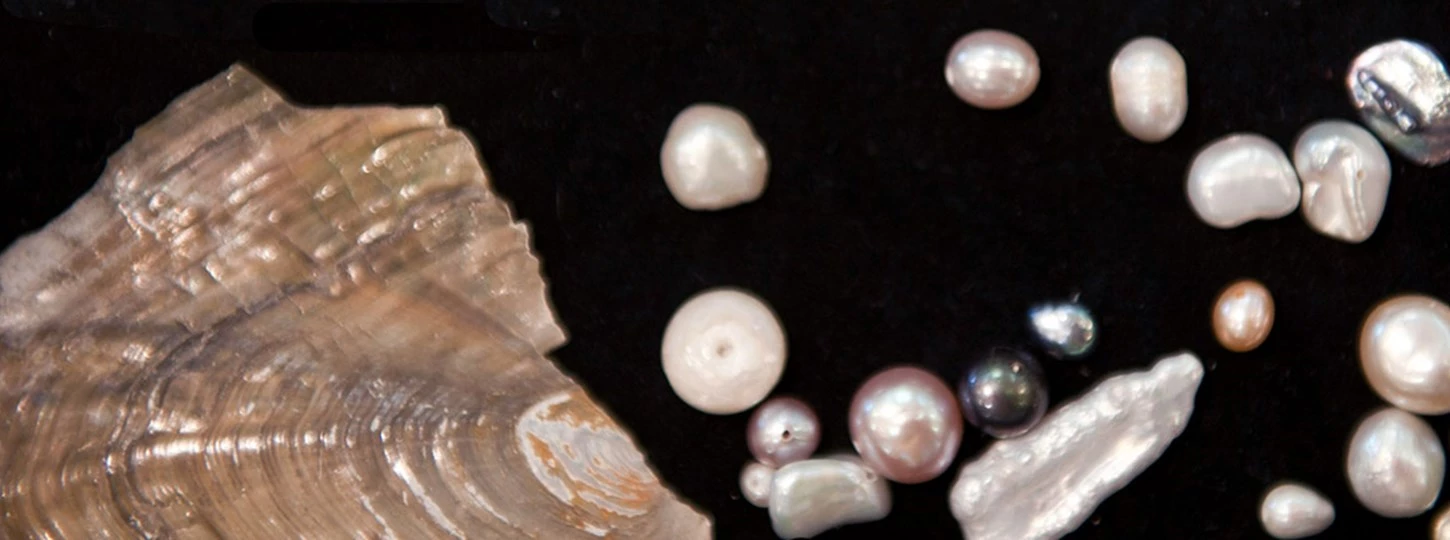 Freshwater Pearl Gemstone: Properties, Meanings, Value & More