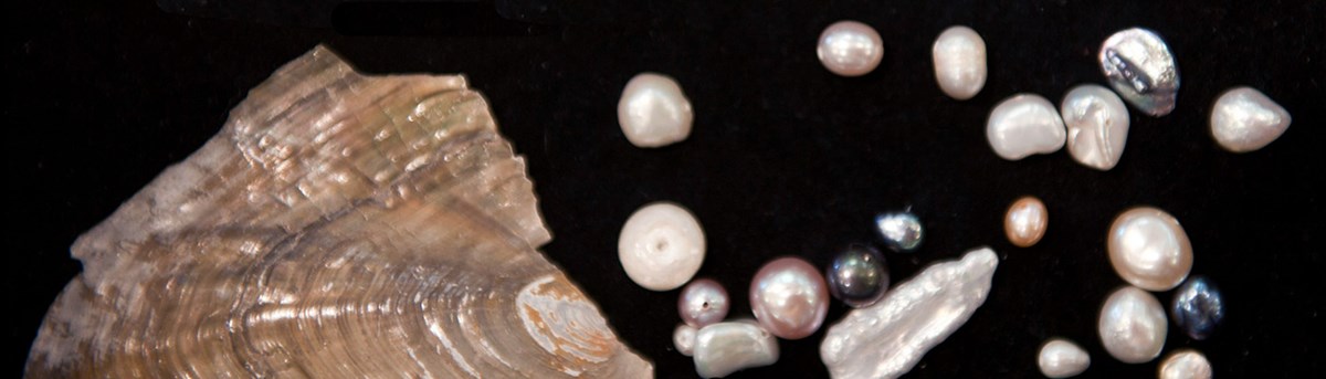 Pearl and its properties