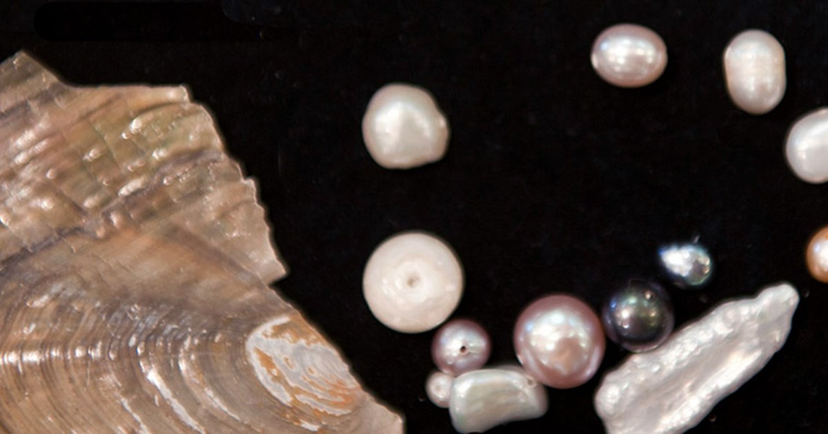 Pearl Types, Meanings, Value and Buying Properties