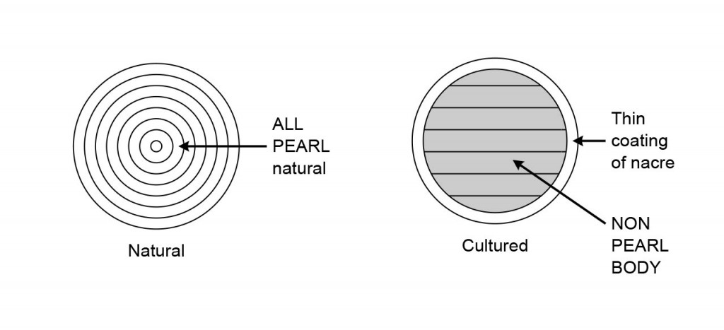 Natural-Vs-Cultured-bandw